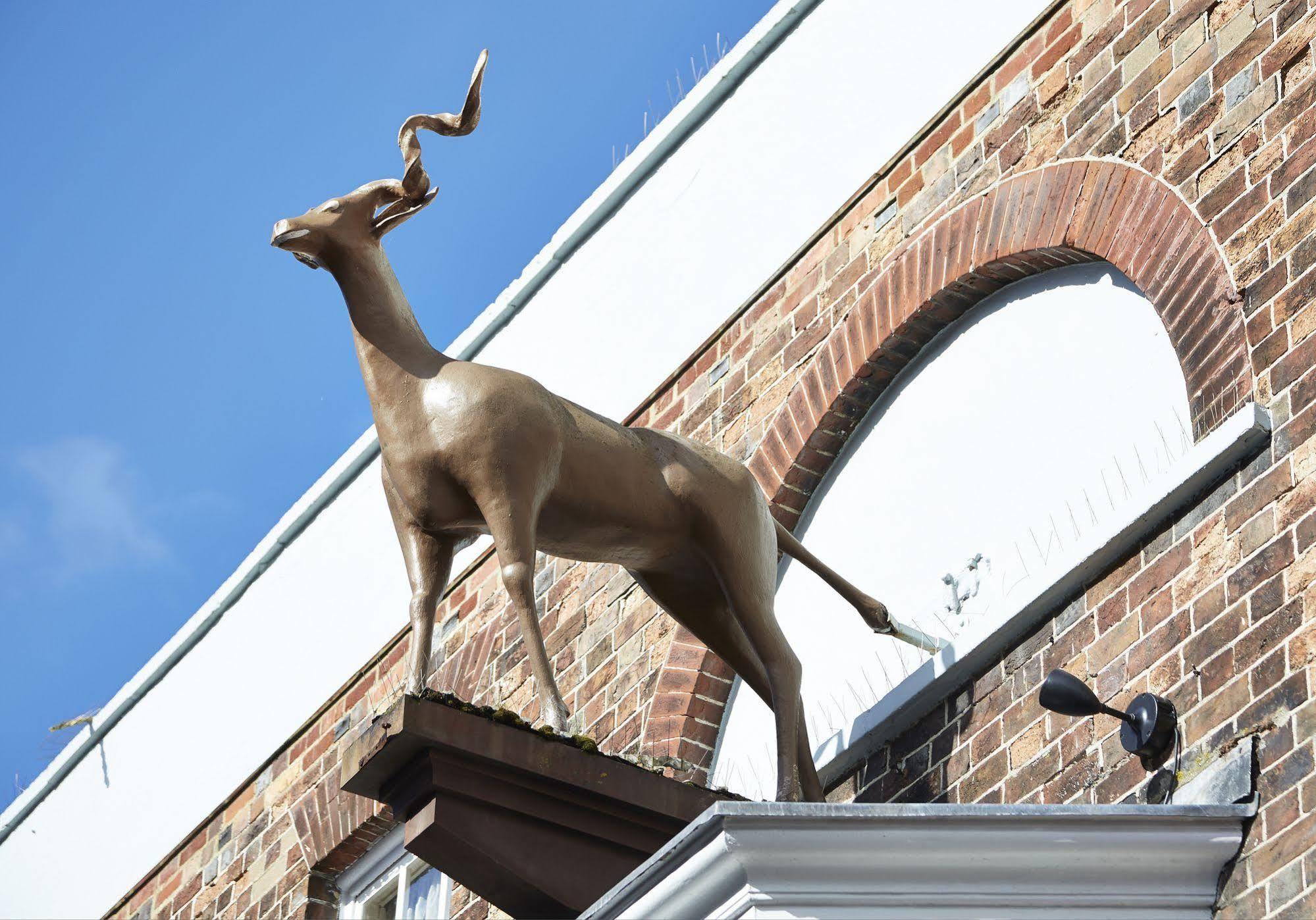 פול Antelope By Greene King Inns מראה חיצוני תמונה